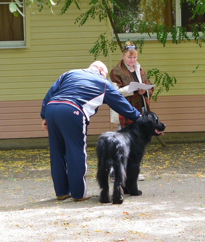 Фотография № 193626