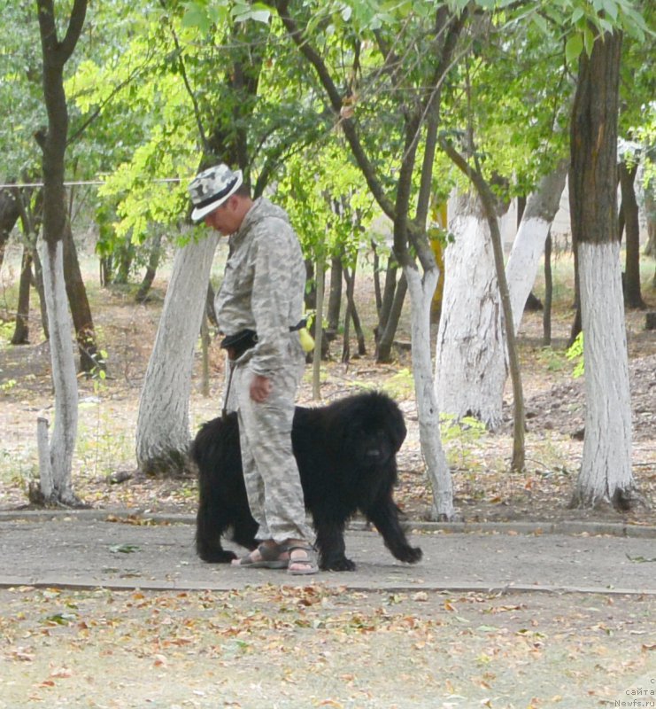 Фотография № 193628