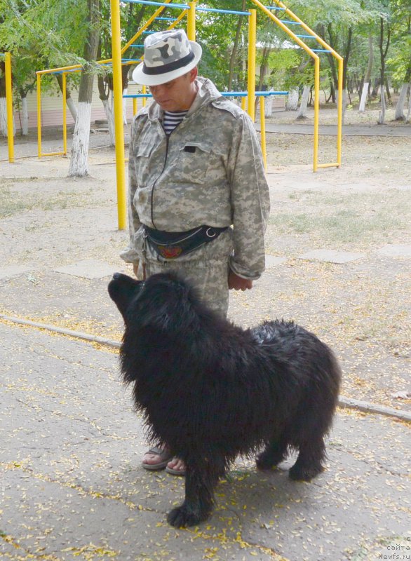 Фотография № 193633