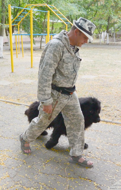 Фотография № 193635