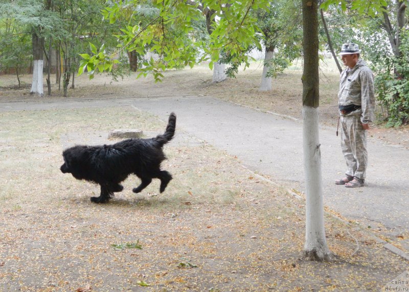 Фотография № 193636