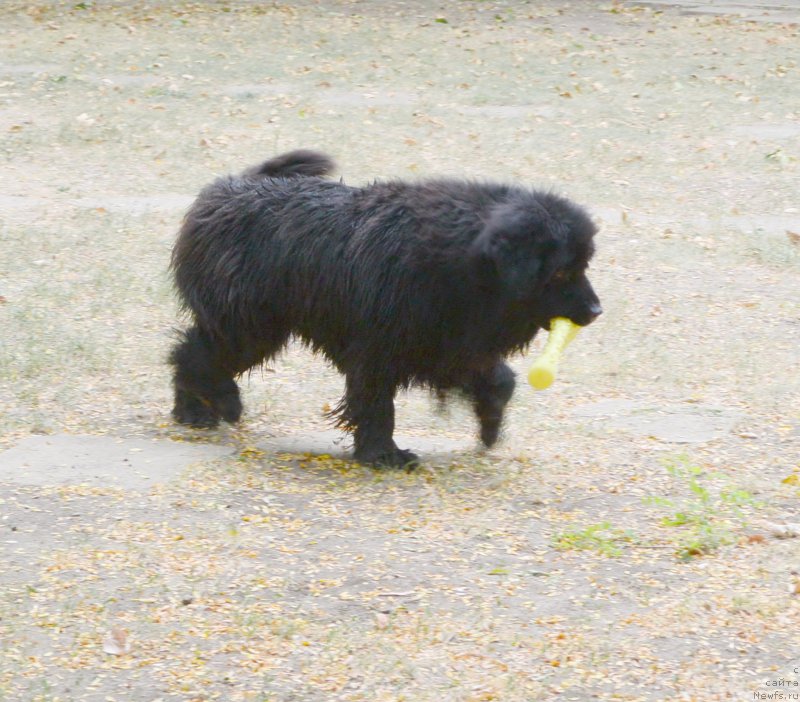 Фотография № 193637