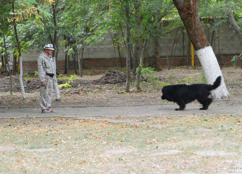 Фотография № 193638