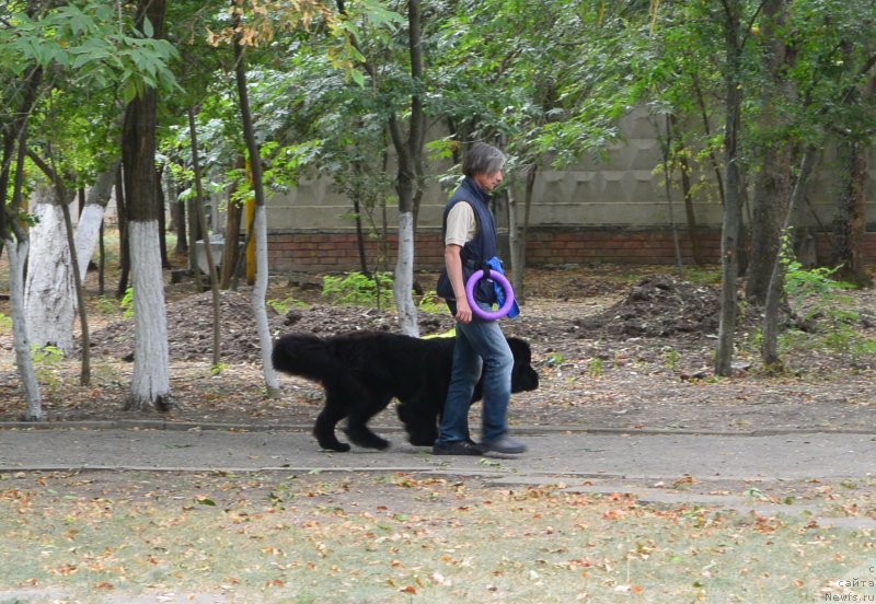 Фотография № 193640