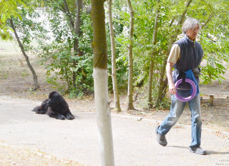 Фотография № 193642