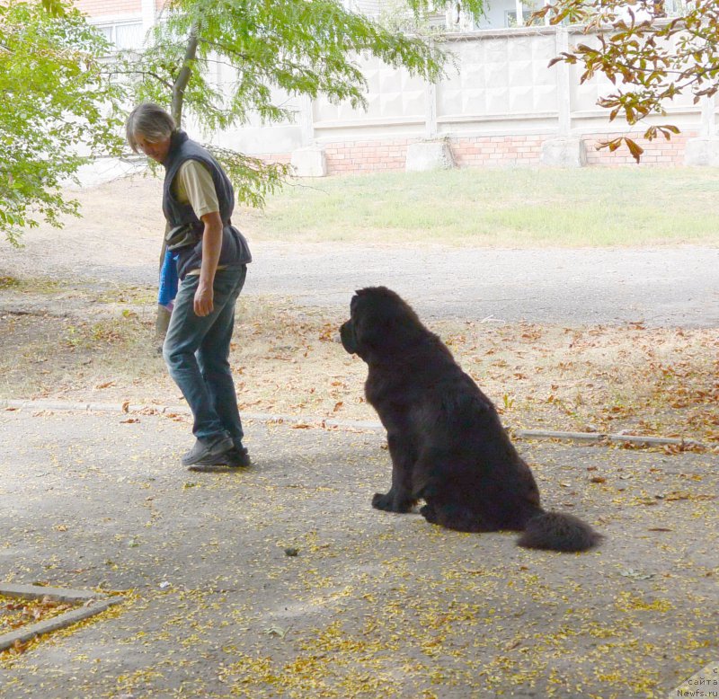 Фотография № 193644