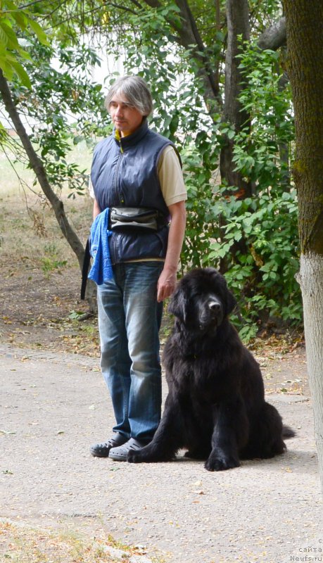 Фотография № 193650