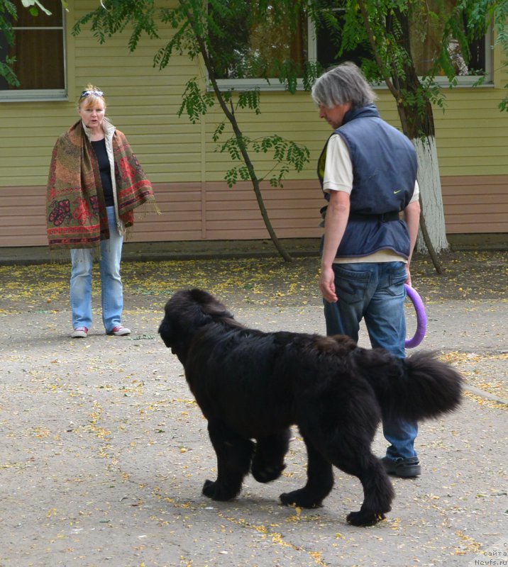 Фотография № 193651