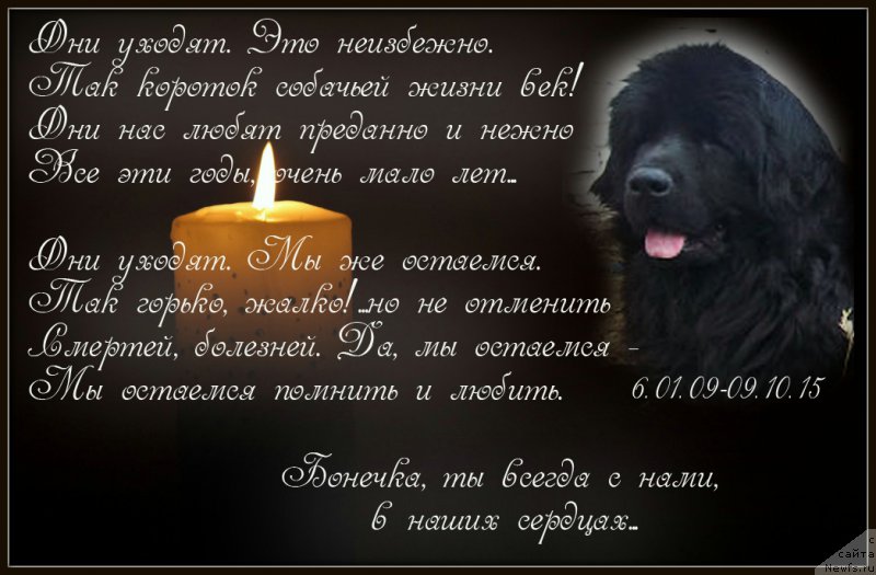 Фотография № 193652