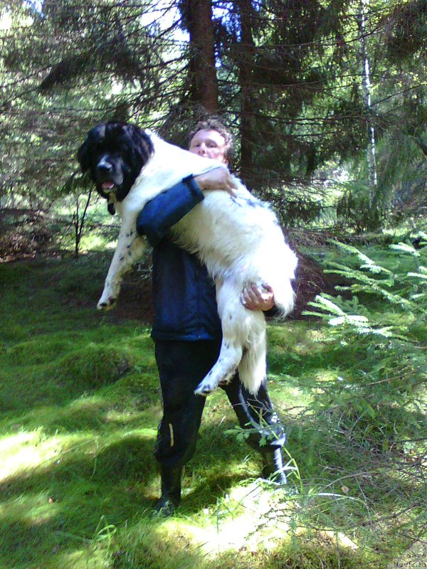 Фотография № 193681