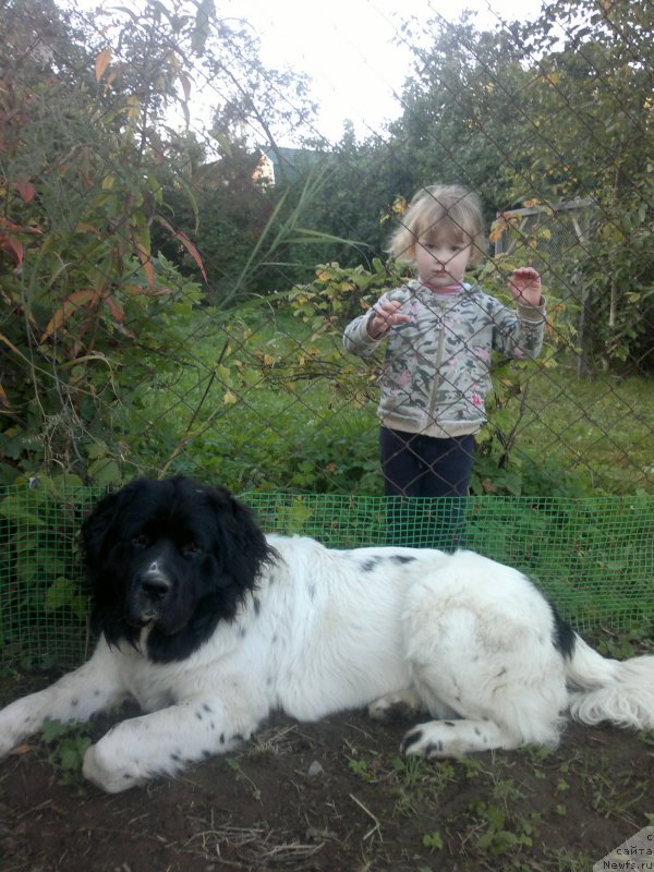 Фотография № 193682