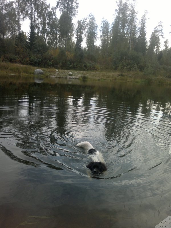 Фотография № 193684