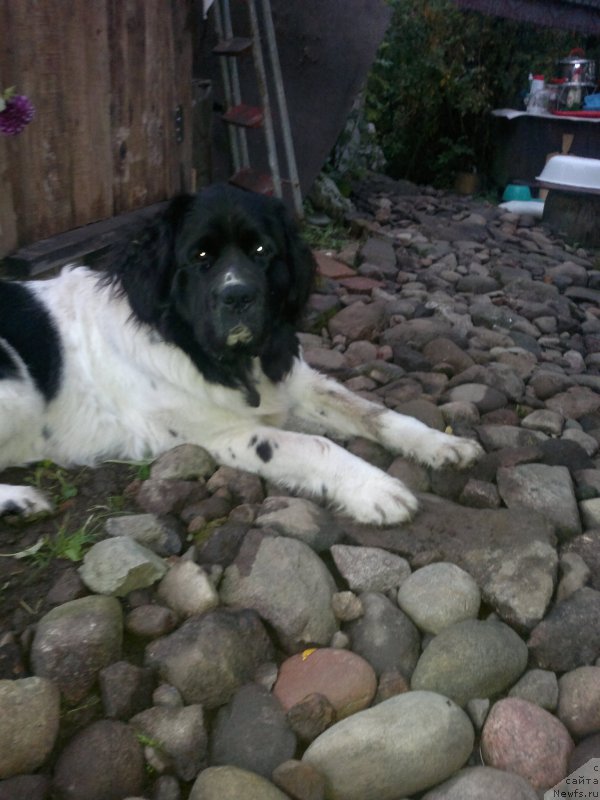 Фотография № 193686