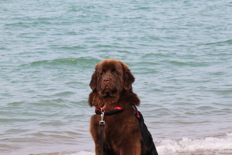 Фотография № 193739