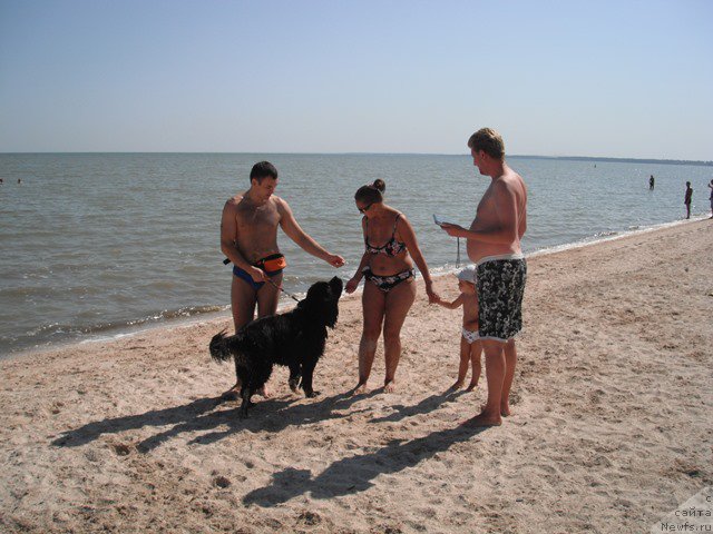 Фотография № 193767