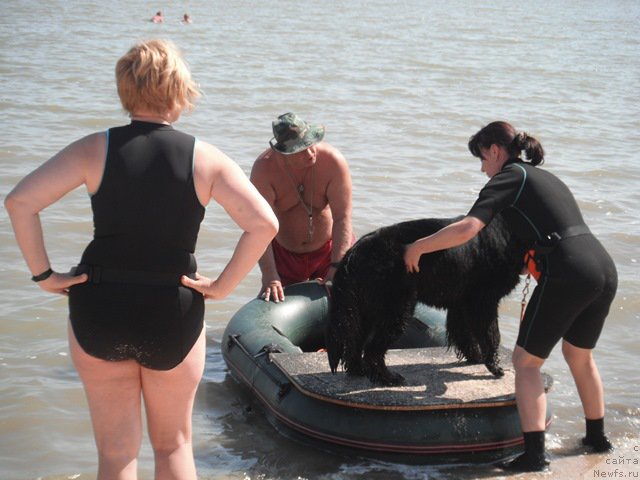 Фотография № 193768