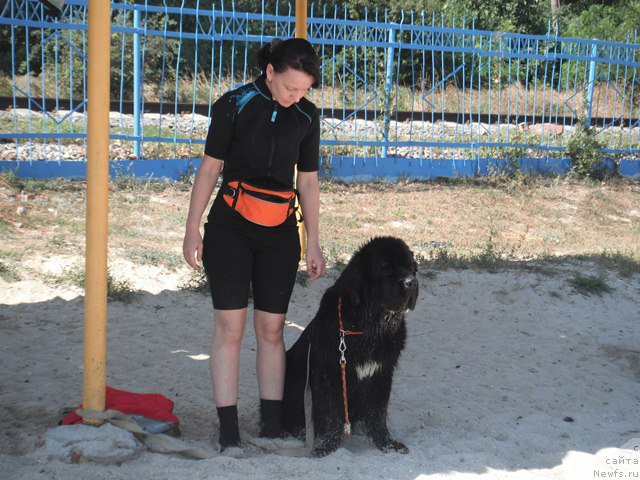 Фотография № 193770