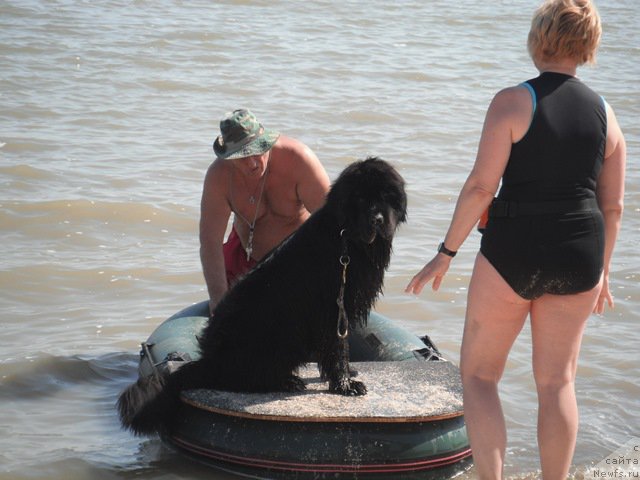 Фотография № 193771