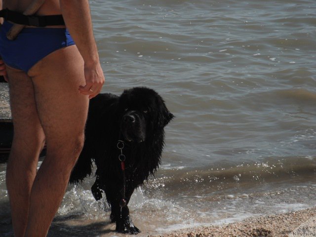 Фотография № 193776