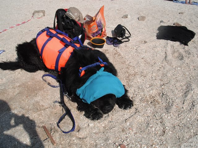 Фотография № 193778