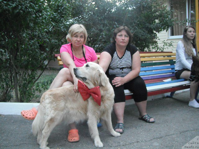 Фотография № 193783