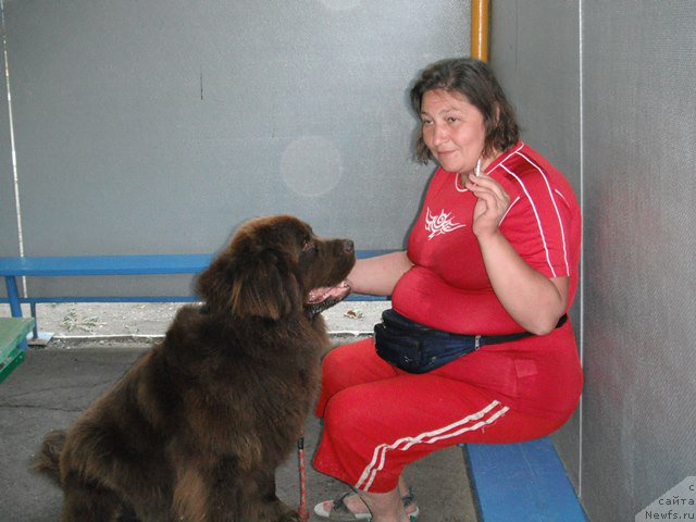 Фотография № 193784