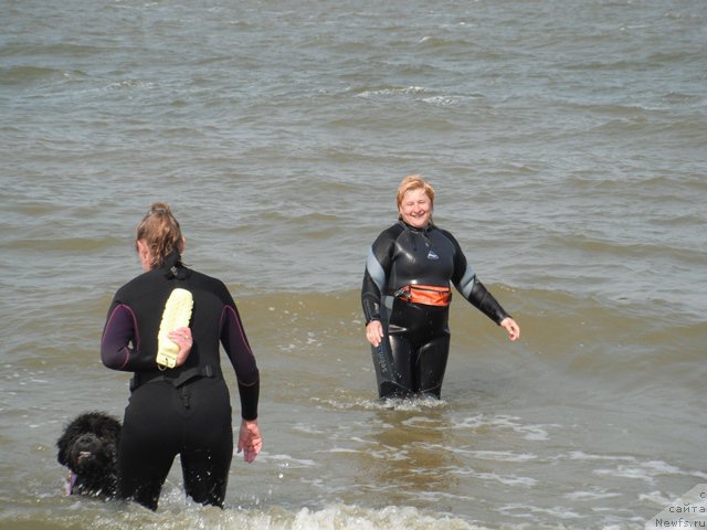 Фотография № 193795