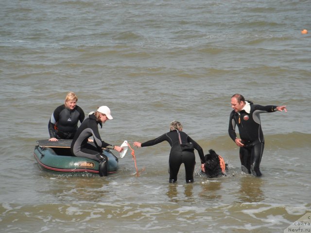 Фотография № 193802