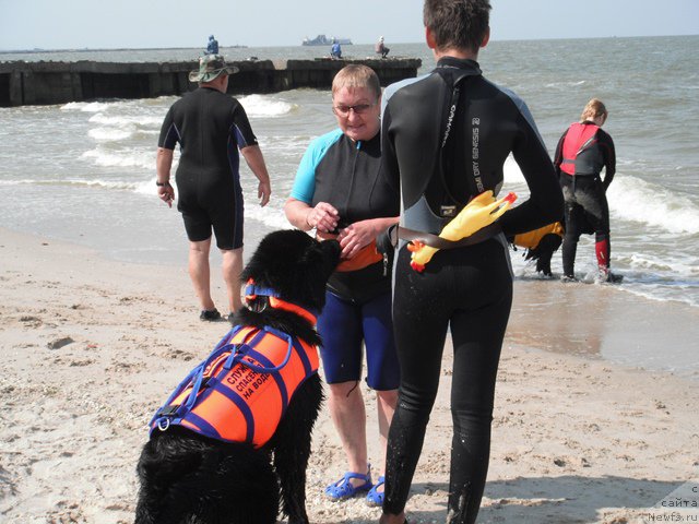 Фотография № 193804