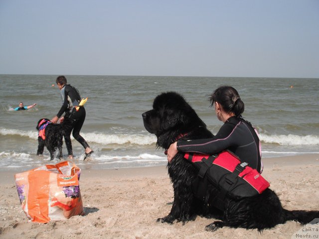 Фотография № 193809