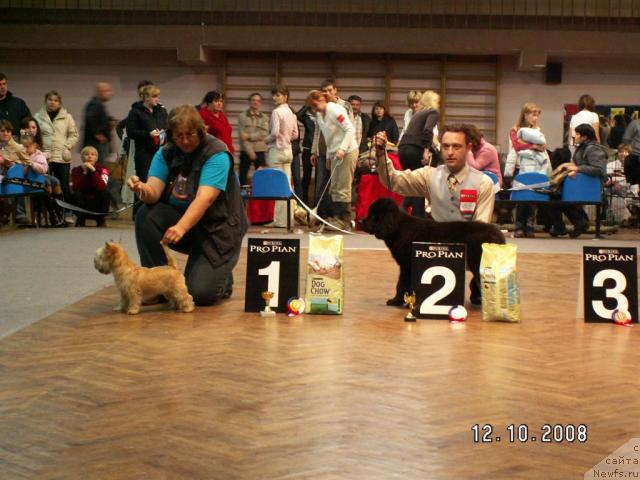 Фотография № 19381