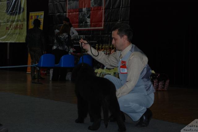 Фотография № 19382