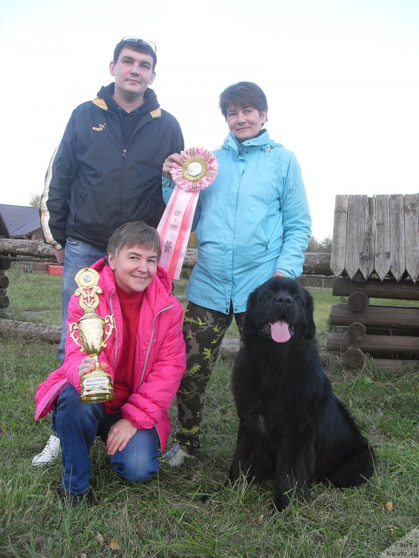 Фотография № 193823