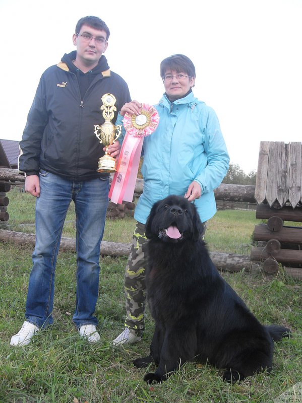 Фотография № 193824