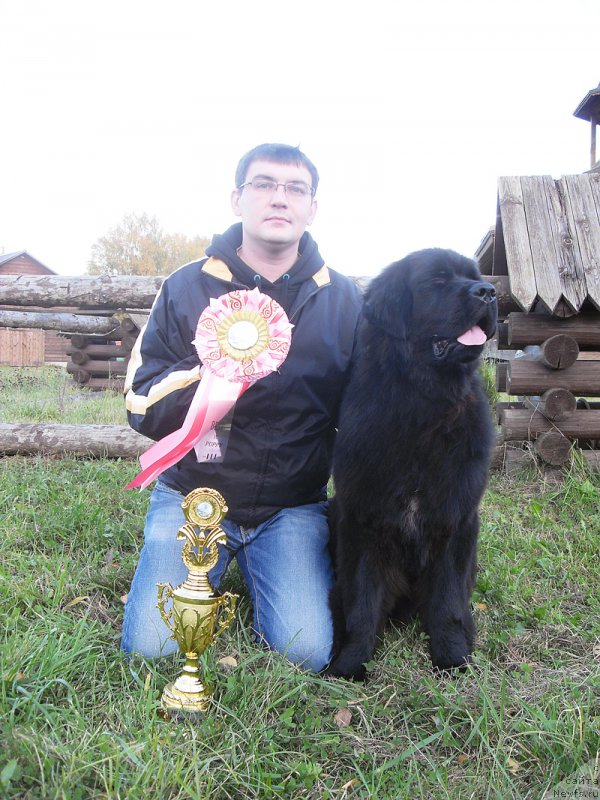 Фотография № 193825