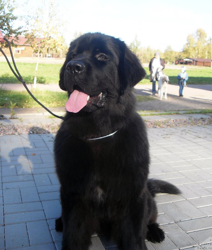 Фотография № 193828