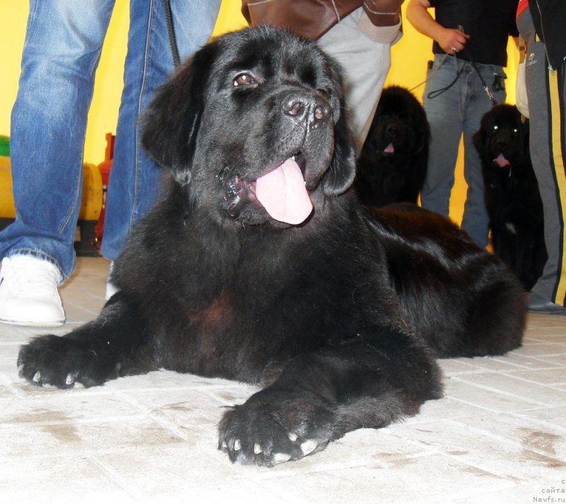 Фотография № 193829