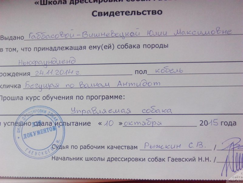 Фотография № 193834