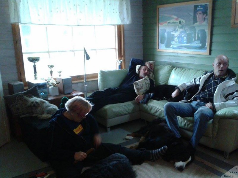 Фотография № 193839