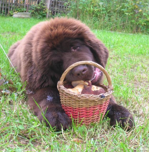 Фотография № 19384