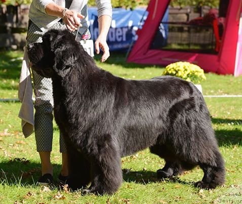 Фотография № 193841