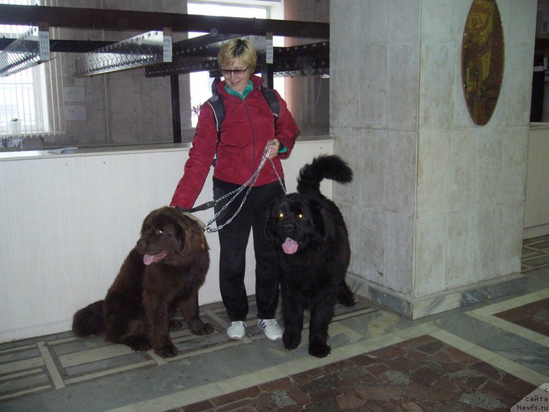 Фото: Неро Адмирал