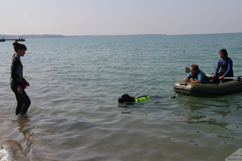 Фотография № 193852