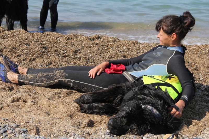 Фотография № 193855