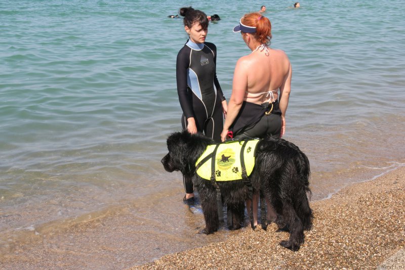 Фотография № 193856