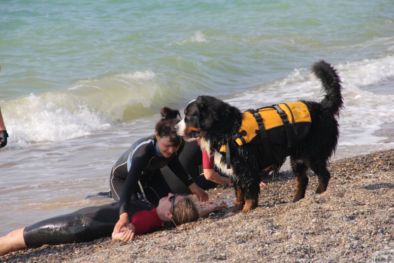 Фотография № 193864