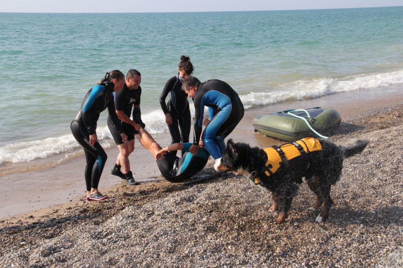 Фотография № 193867