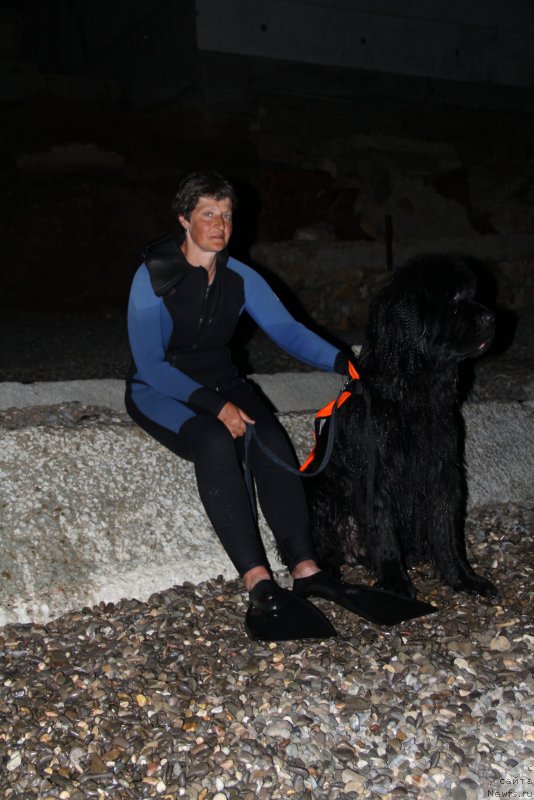 Фотография № 193868