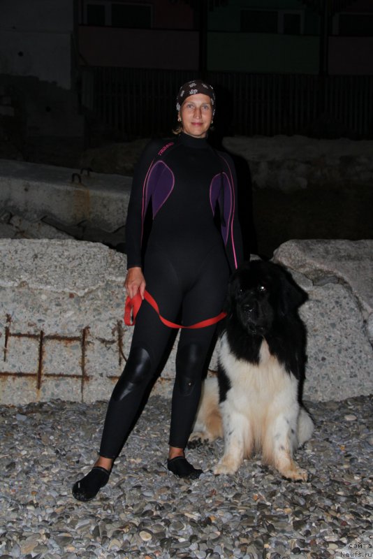 Фотография № 193871