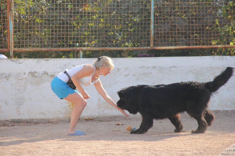 Фотография № 193878